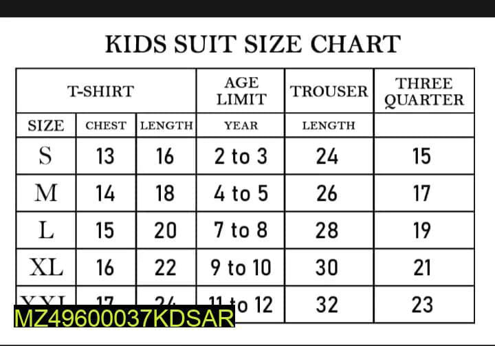 2 Pcs Boy's Stitched Micro Printed Track Suit
